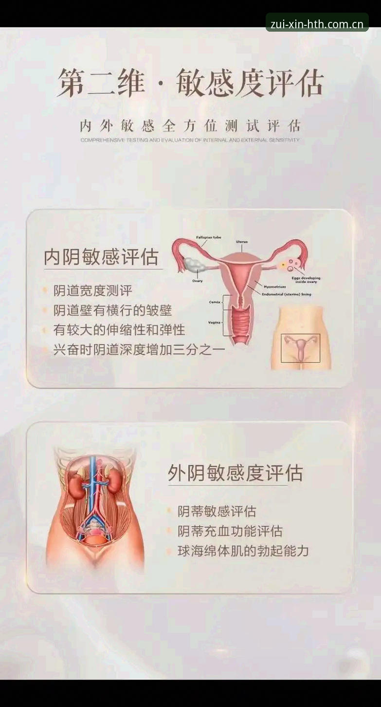 拆解梅里诺决赛状态的三个实用评估维度